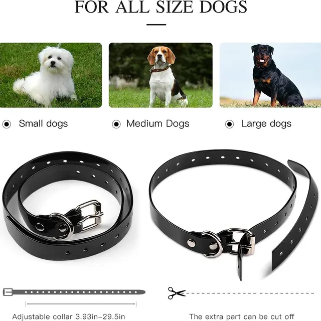 Hundetrainingshalsband 4