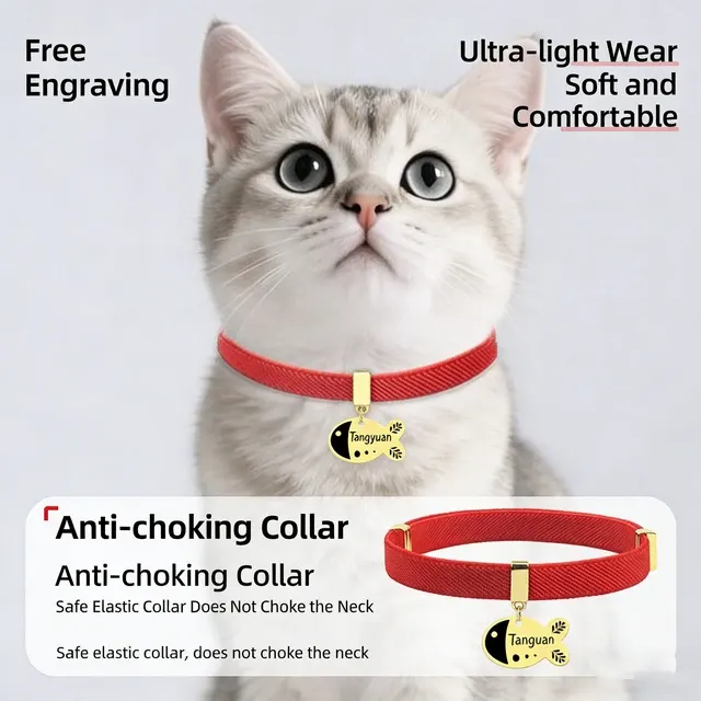 Personalisiertes Katzenhalsband 2