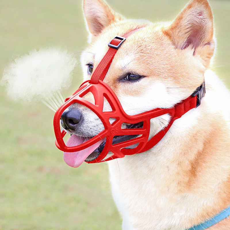 Hundemaulkorb