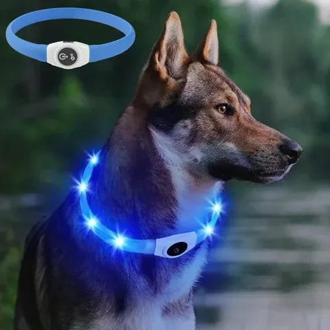 LED-Hundehalsband