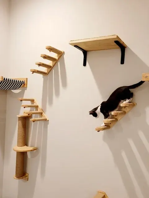 Katzen-Kletterregal 4