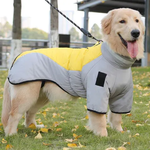 Hunde-Overall