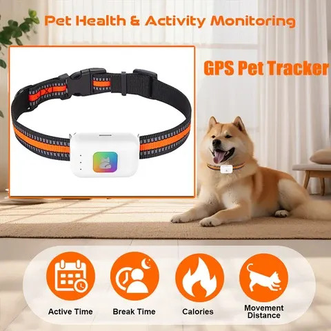 4G-GPS-Haustierhalsband