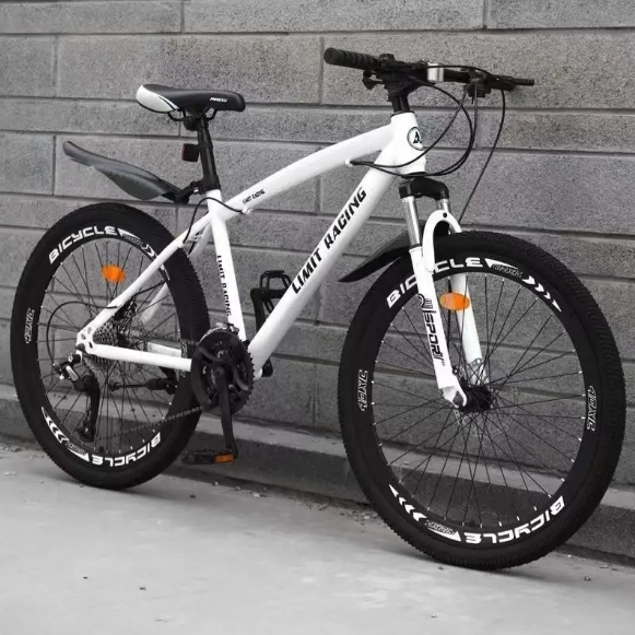 Mountainbike