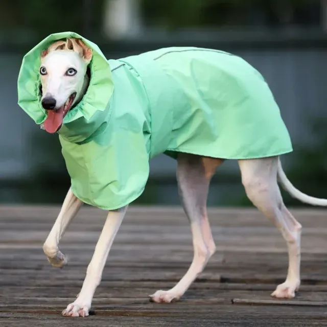 Hunde-Regenmantel 4