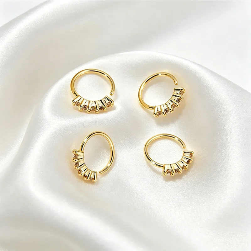 Nasenring 2