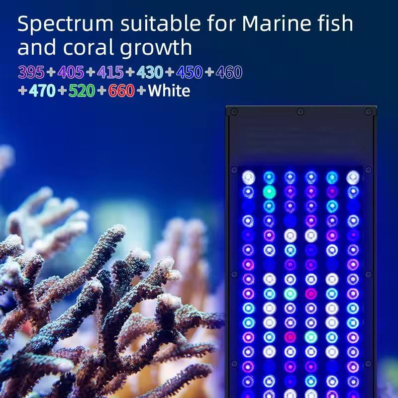 Aquarium-LED-Leuchte 3