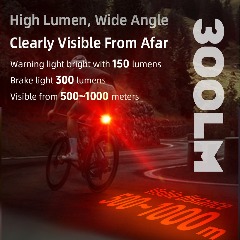 LED-Fahrradrücklicht mit Bremslicht, 300 Lumen 2
