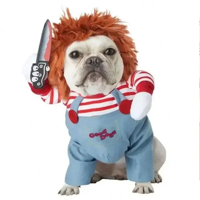 Hunde-Halloweenkostüm 2