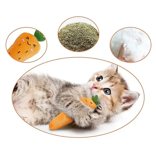 Katzenminze-Plüschtier für Katzen 3