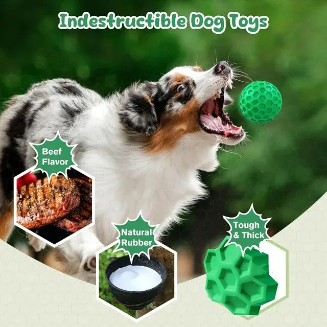 Hunde-Kauspielzeug 3