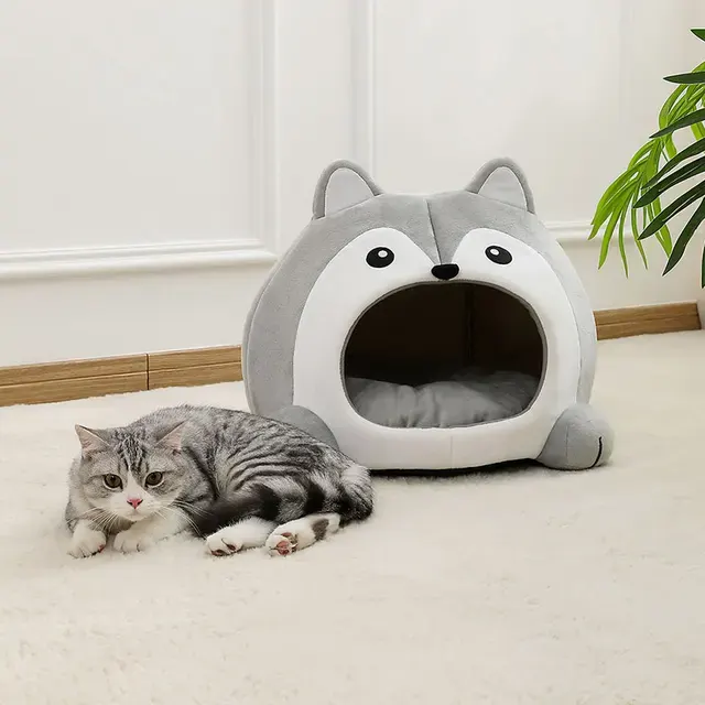 Katzenbett 2