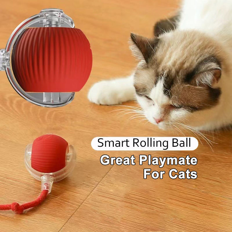 Interaktiver Katzen- und Hundespielball mit Bewegungssensor 3