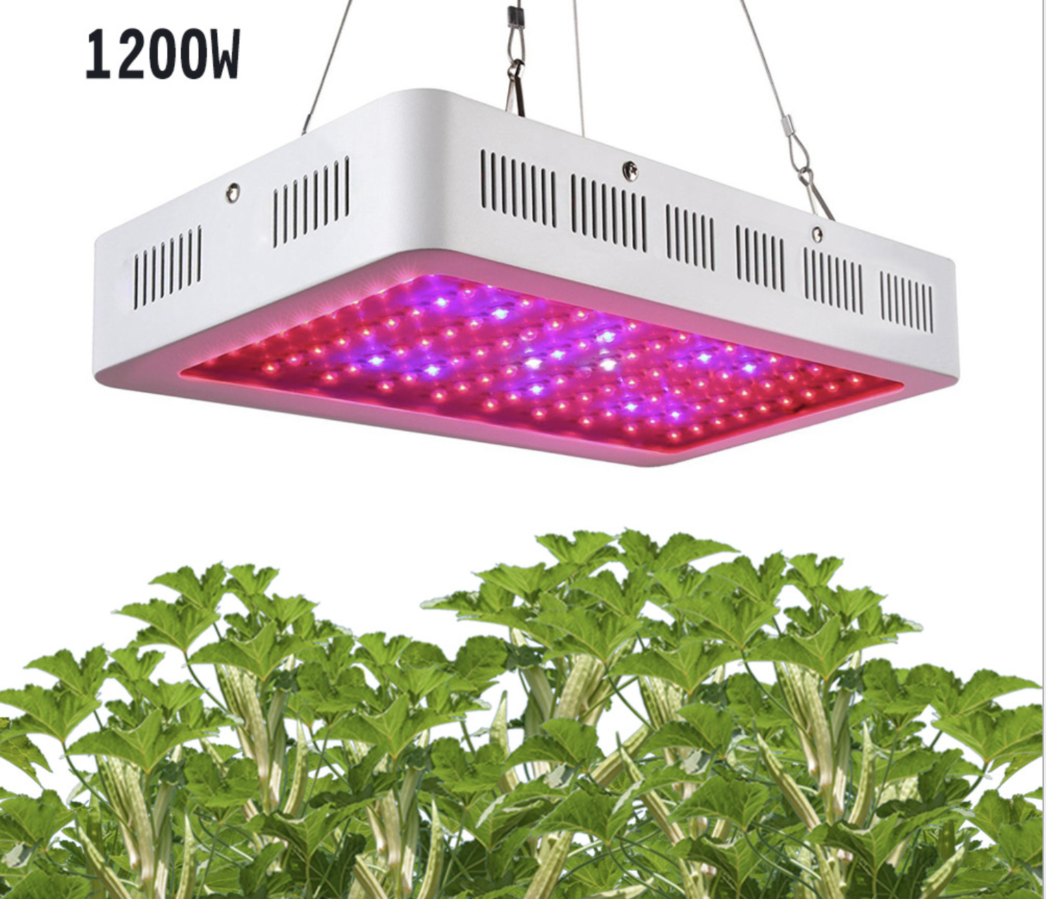 Doppellinsen LED Pflanzenlampe für Medizinpflanzen 3