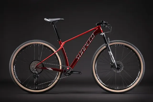Carbon-Mountainbike 4