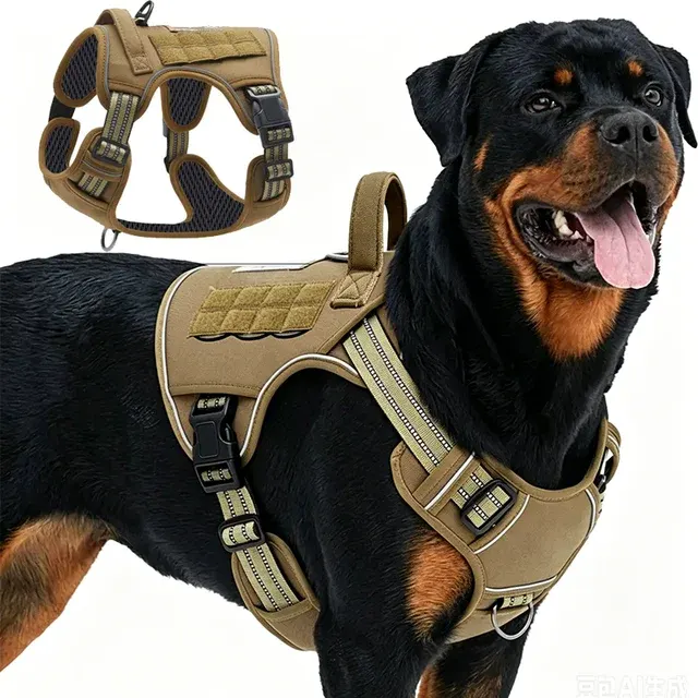 Hunde-Trainingsweste 1