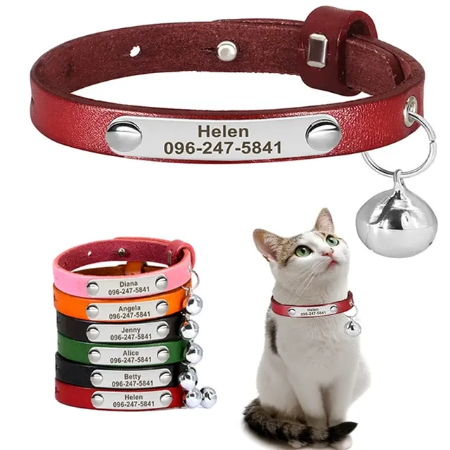 Personalisiertes Katzenhalsband 1