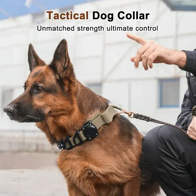 Taktisches Hundehalsband 2
