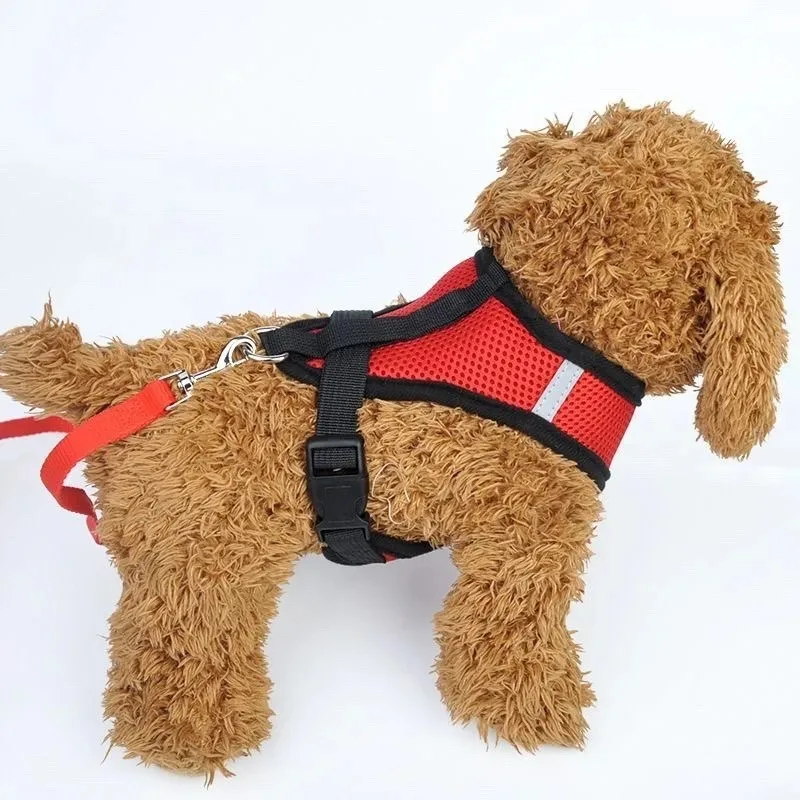 Verstellbares Mesh-Hundegeschirr mit Leine 2