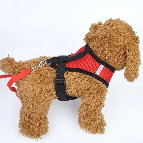Verstellbares Mesh-Hundegeschirr mit Leine
