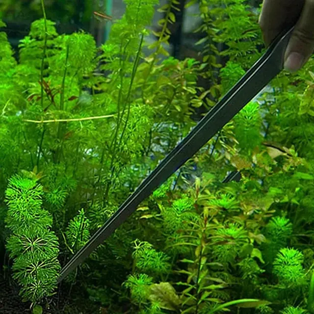 Aquascaping-Pinzette 4
