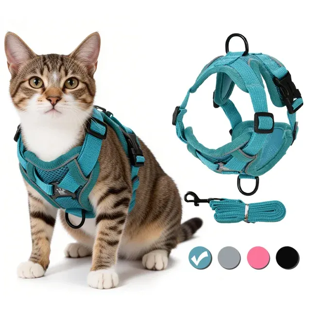 Hundegeschirr-Leine-Set 1