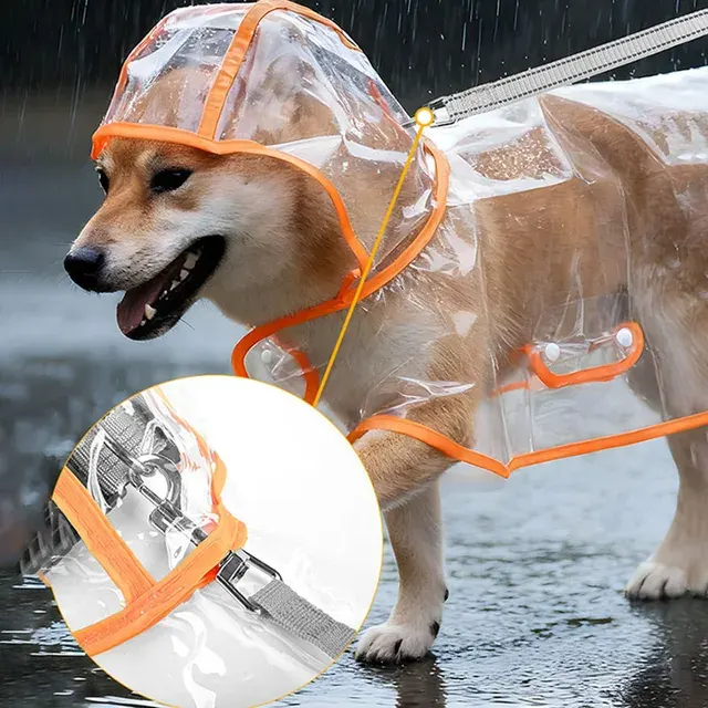 Hunde-Regenmantel 4