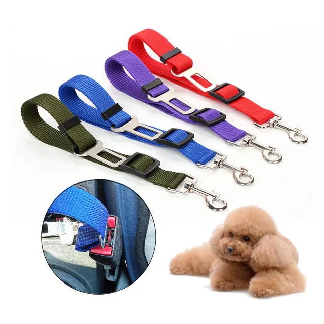 Hunde-Autogurt 3