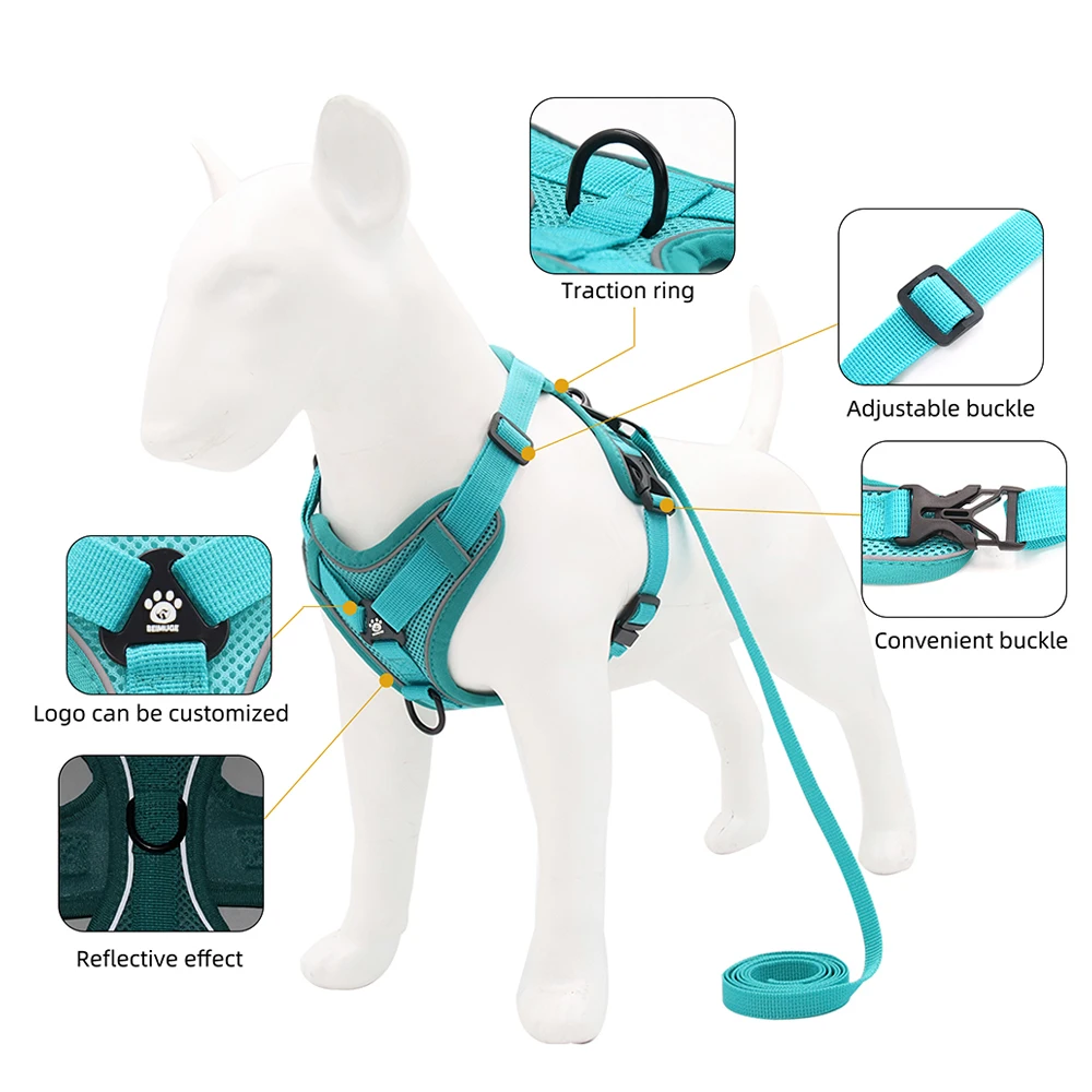 Hundegeschirr-Set mit Leine 3