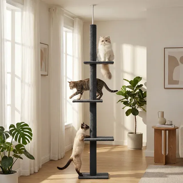 Deckenhoher Katzenkratzbaum 2