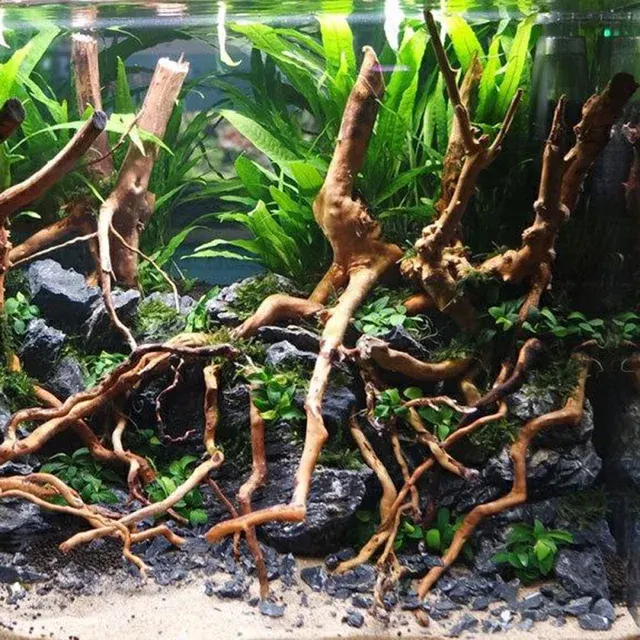 Aquarium-Treibholz 4