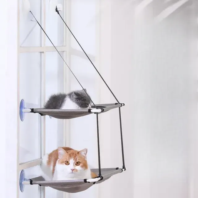 Katzen-Fensterliege 3