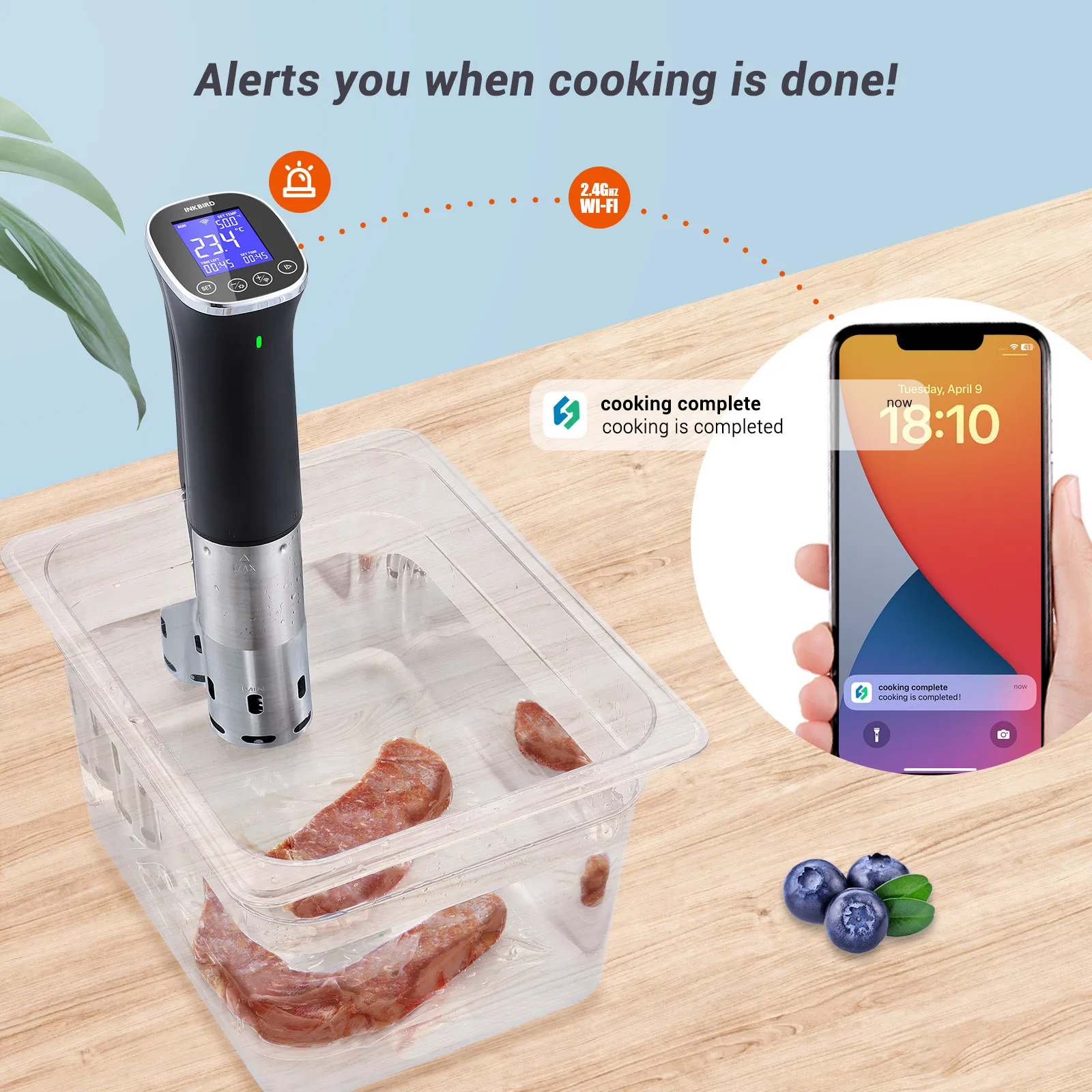 WLAN-Sous-Vide-Garer, wasserdicht IPX7 3