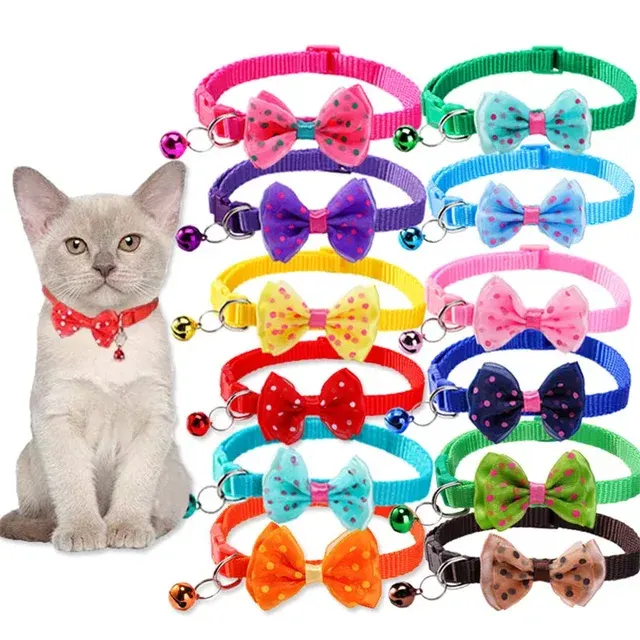Haustierhalsband 1