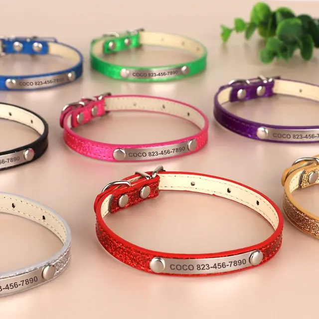 Personalisiertes Katzenhalsband 4
