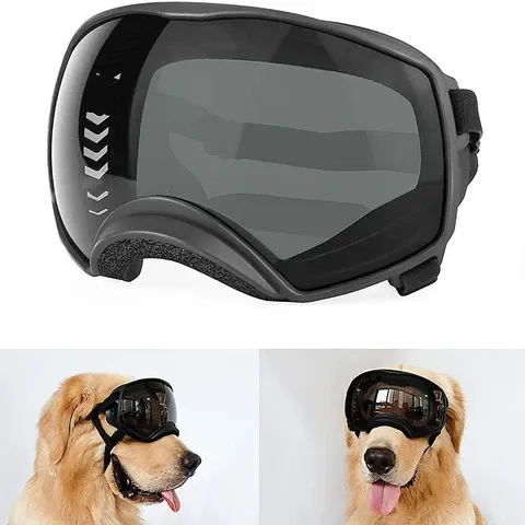 Hundesonnenbrille