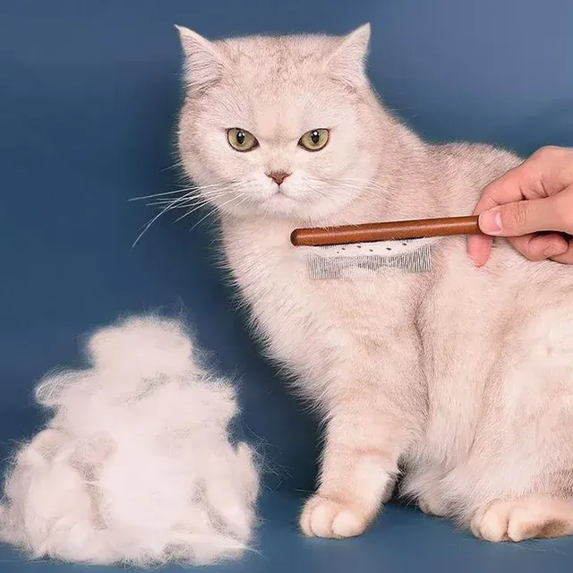 Katzenkamm 2