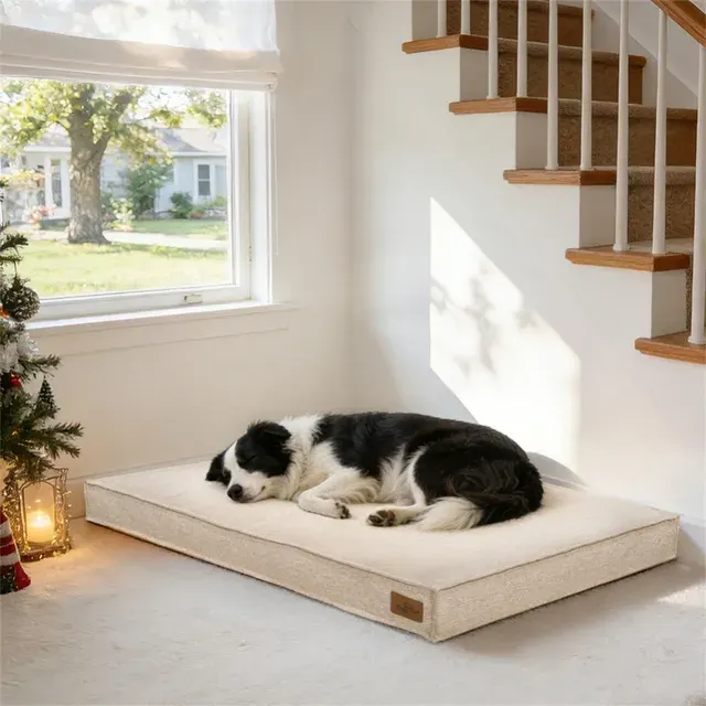 Hundebett 4