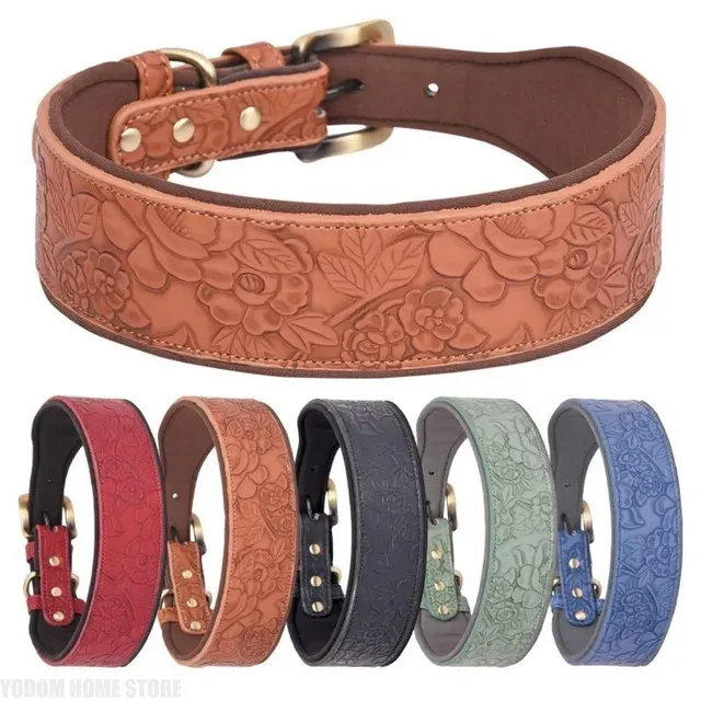 Hundehalsband 1