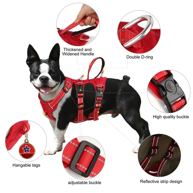 Wasserdichtes Hundegeschirr 3