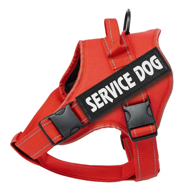 Personalisiertes Hundegeschirr 4