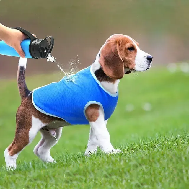 Kühlweste für Hunde und Katzen im Sommer 4