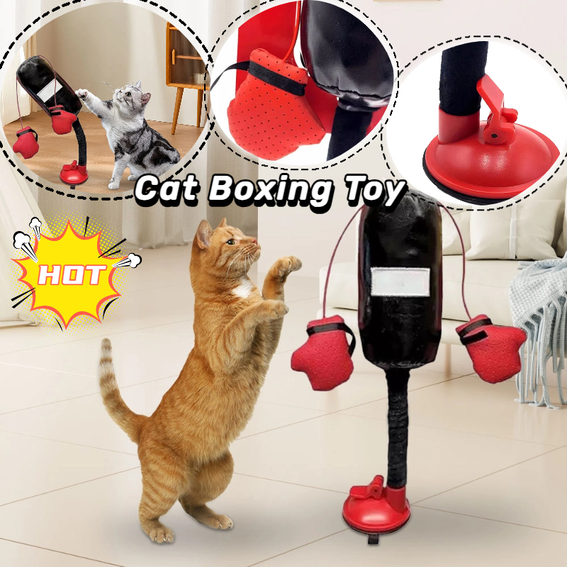 Interaktiver Katzen-Boxsack mit Handschuhen