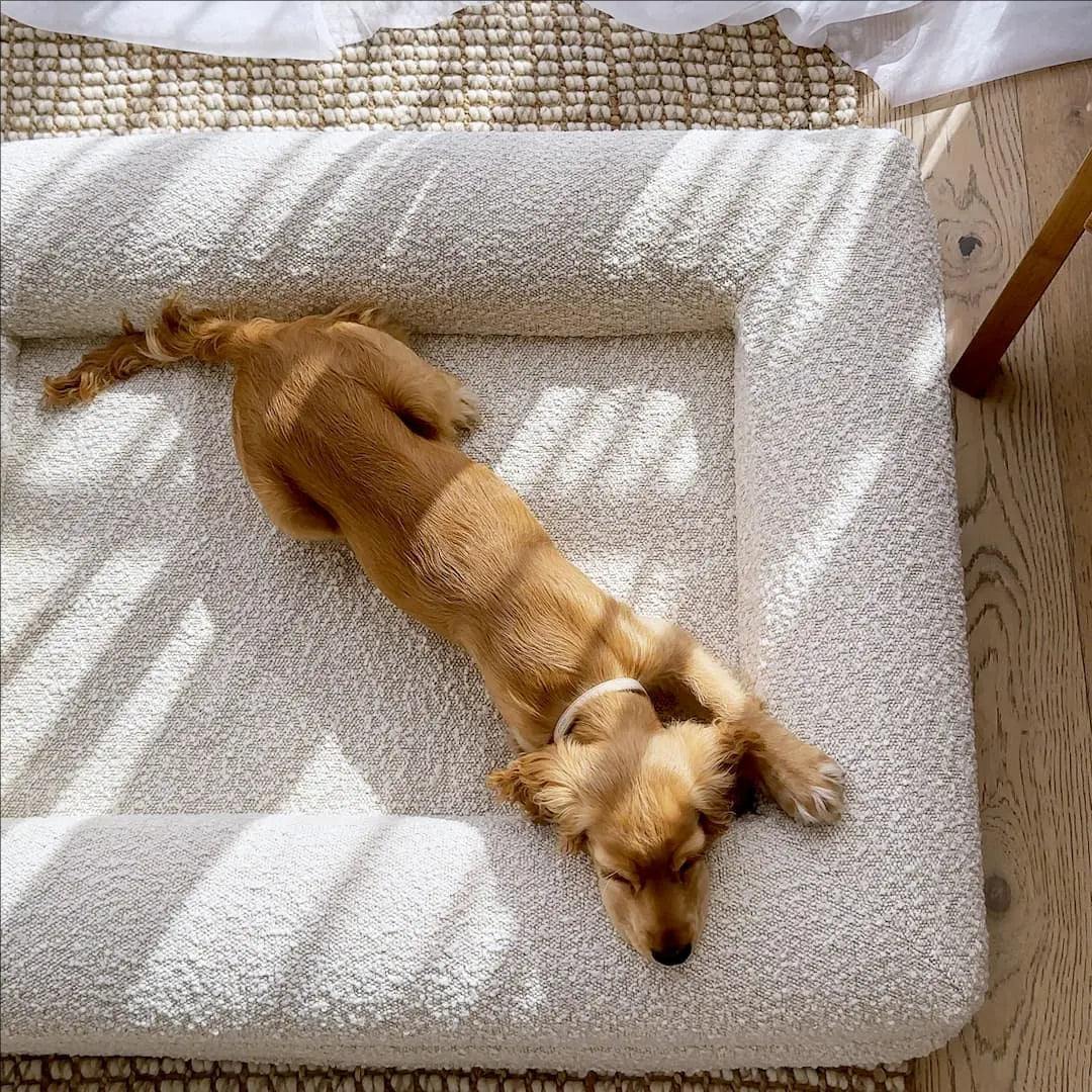Wasserdichtes Bouclé-Hundebett mit Reißverschluss 2