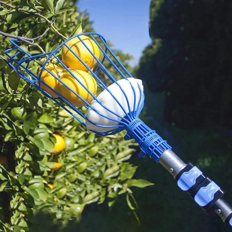 Obstpflücker 4