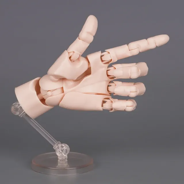 Handmodell 4