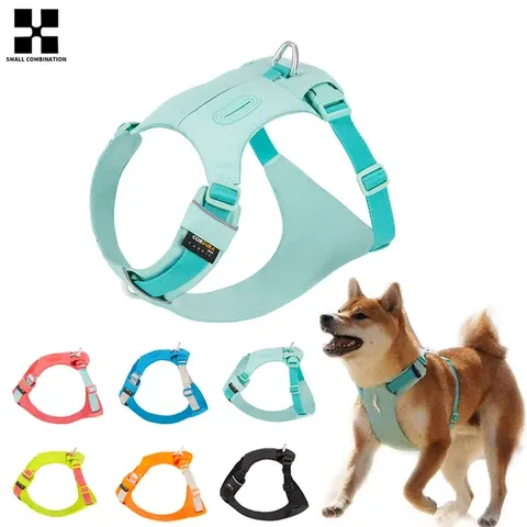 Hundegeschirr ohne Ziehen