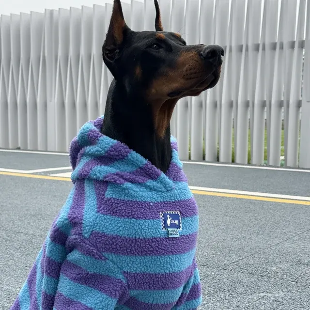 Hunde-Kapuzenpullover 4