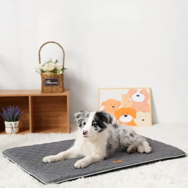 Hundebettmatte 3