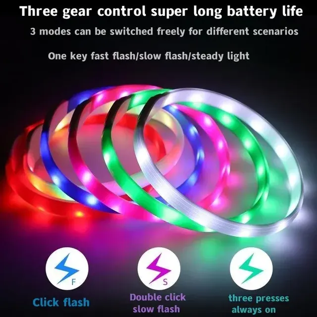 LED-Hundehalsband 3